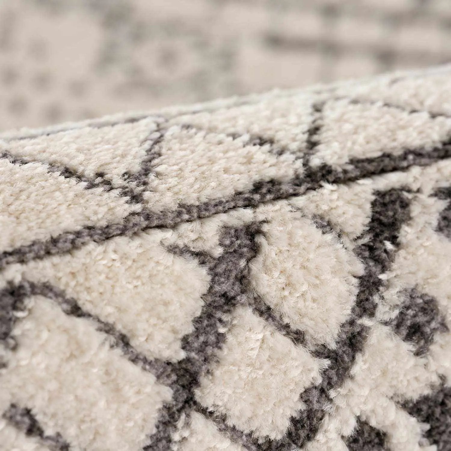 Merriott Area Rug by Boutique Rugs