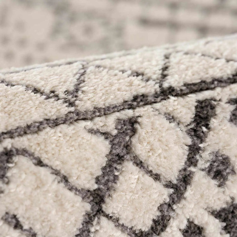 Merriott Area Rug by Boutique Rugs