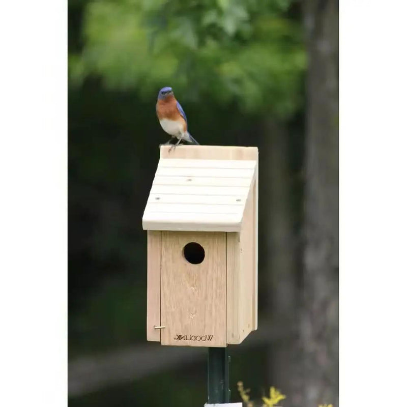Cedar Wood Birdhouse - Ideal for Eastern Western and Mountain Bluebirds by HomePacific