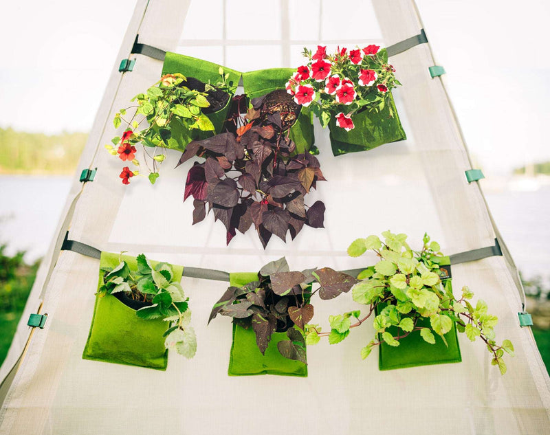 Bloom Hanging Planters, photo 3 of 10