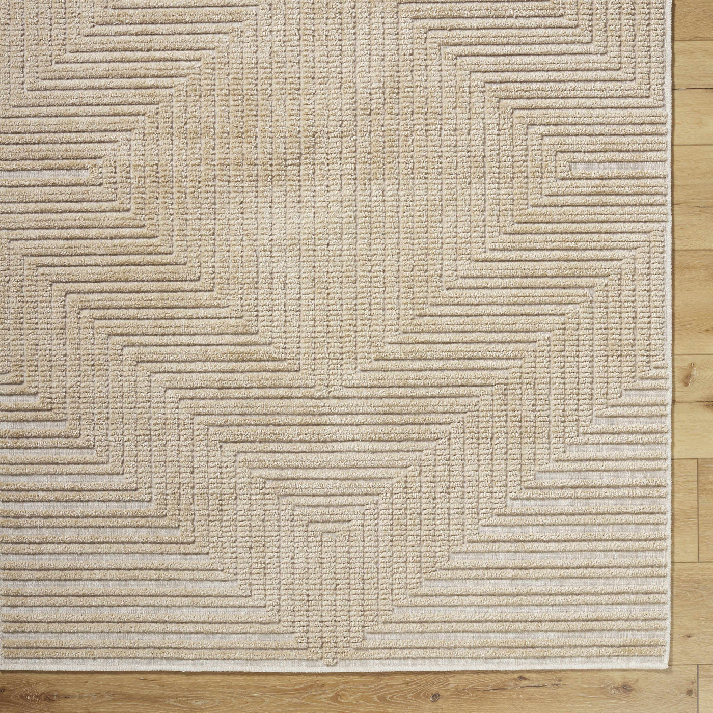 Briana Brown Washable Area Rug by Boutique Rugs