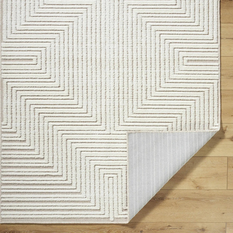 Briana Beige Washable Area Rug by Boutique Rugs