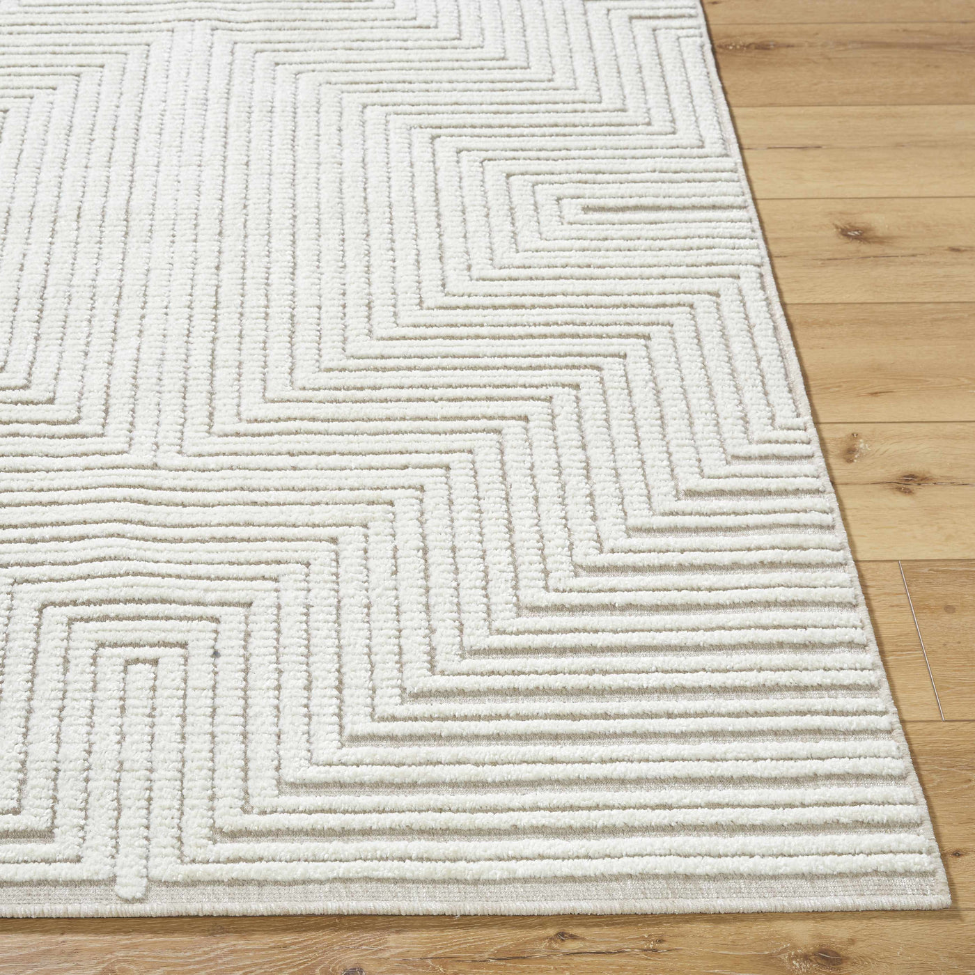 Briana Beige Washable Area Rug by Boutique Rugs