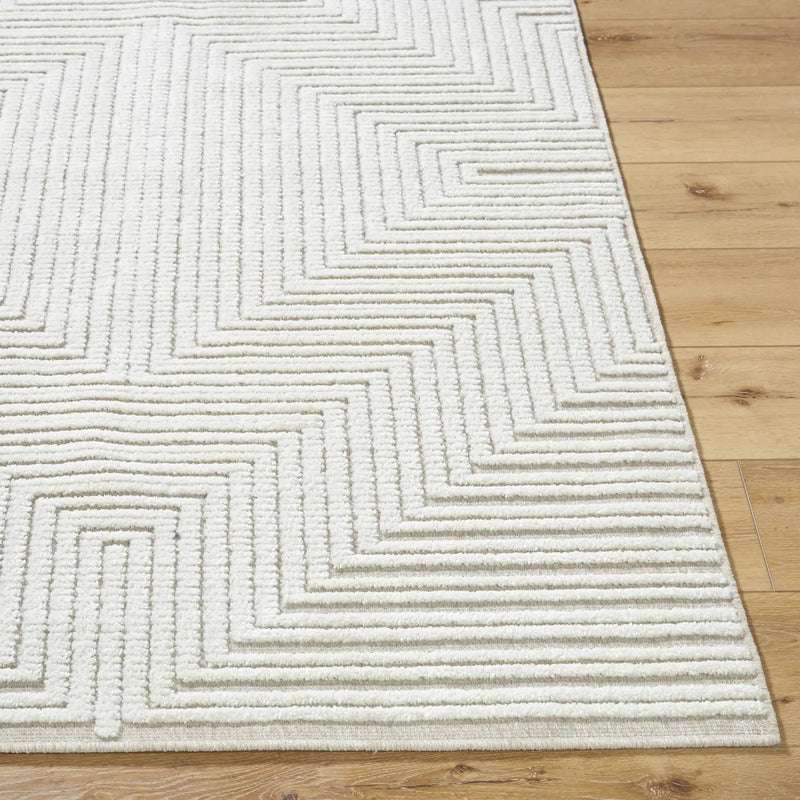 Briana Beige Washable Area Rug by Boutique Rugs