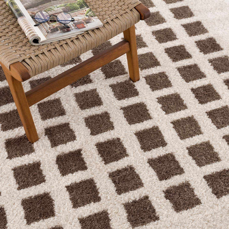 Baback Brown Washable Area Rug by Boutique Rugs