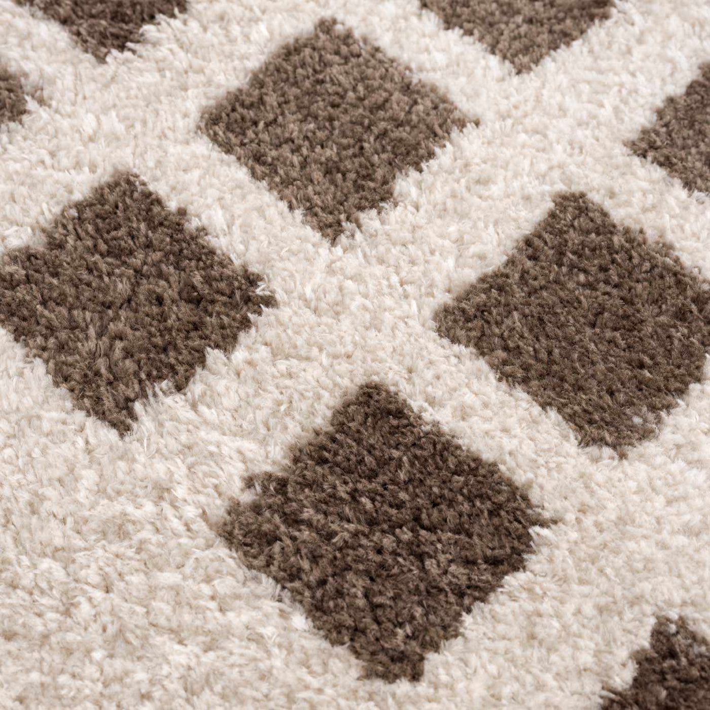 Baback Brown Washable Area Rug by Boutique Rugs