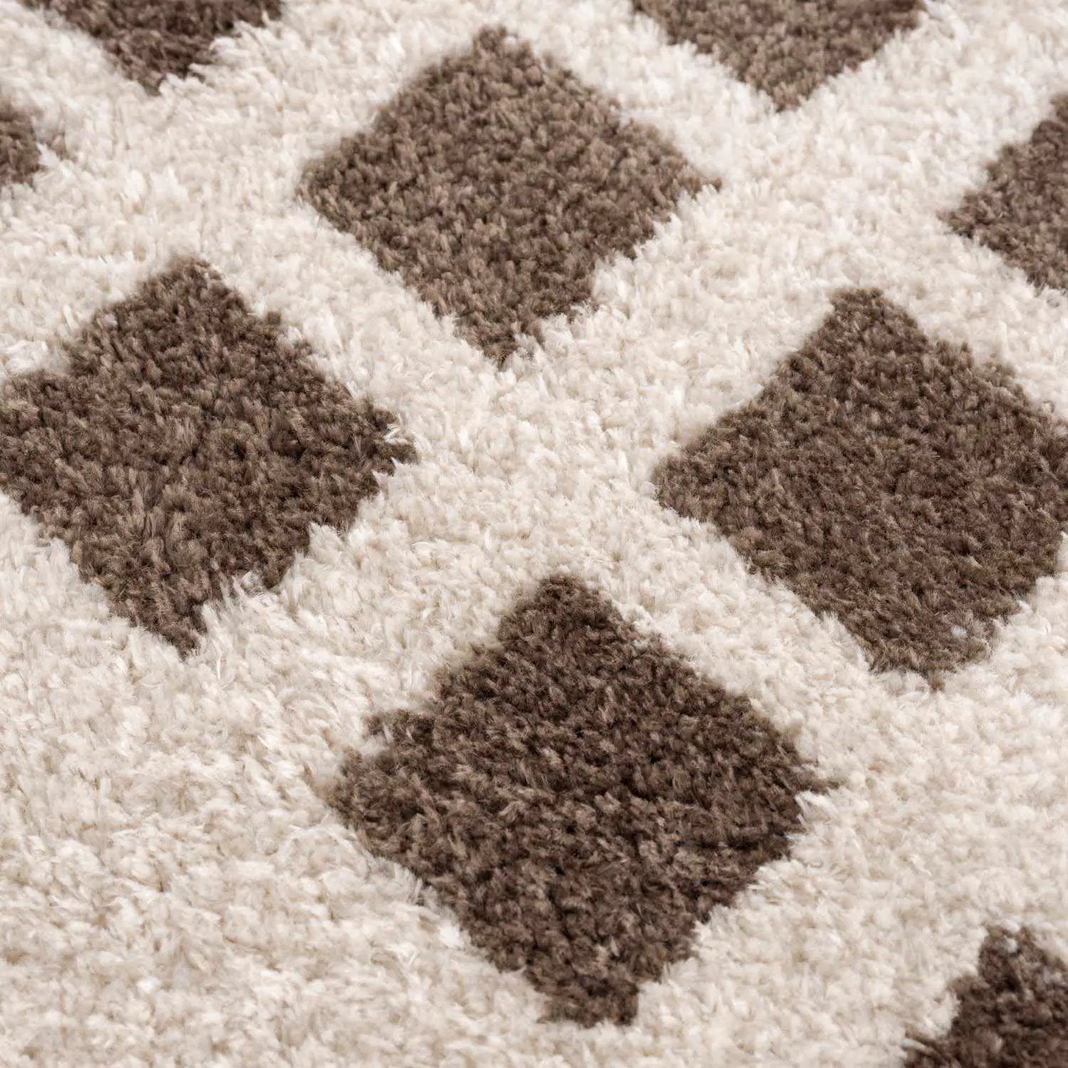 Baback Brown Washable Area Rug by Boutique Rugs