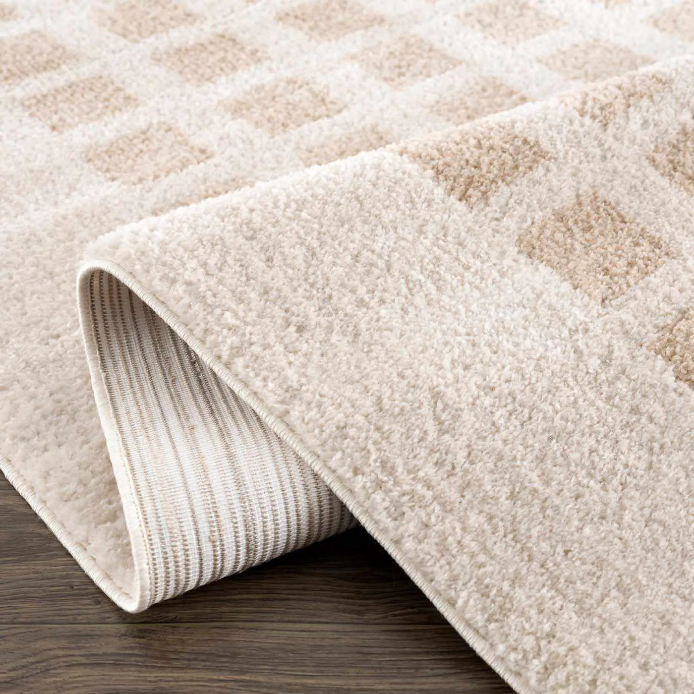 Baback Beige Washable Area Rug by Boutique Rugs