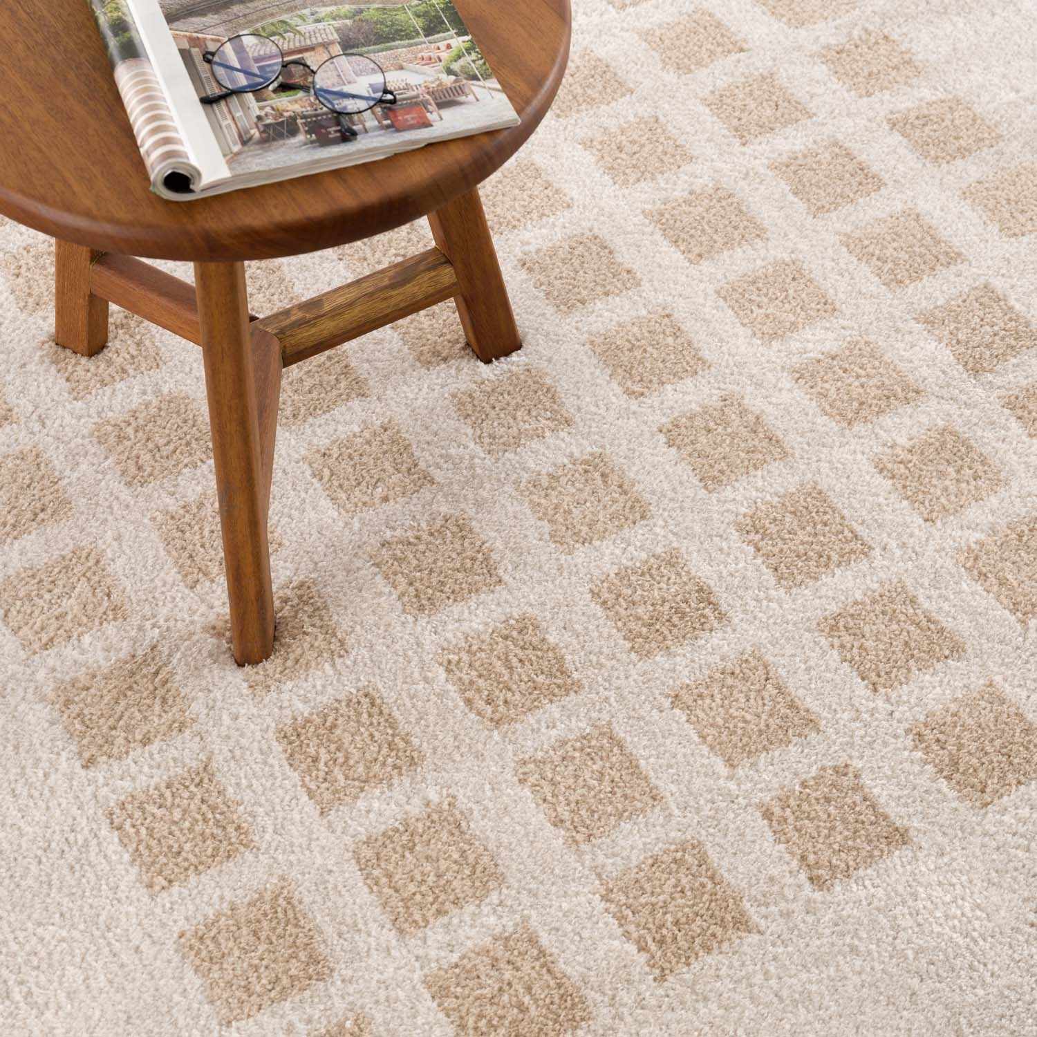 Baback Beige Washable Area Rug by Boutique Rugs