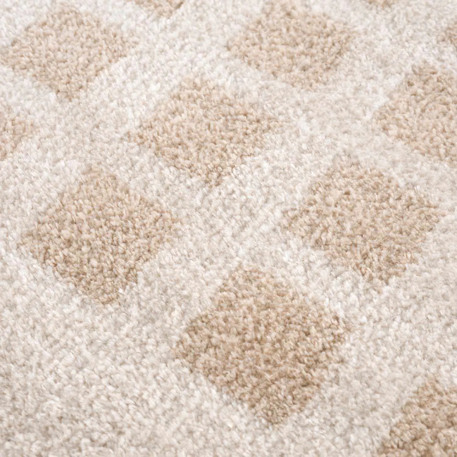 Baback Beige Washable Area Rug by Boutique Rugs