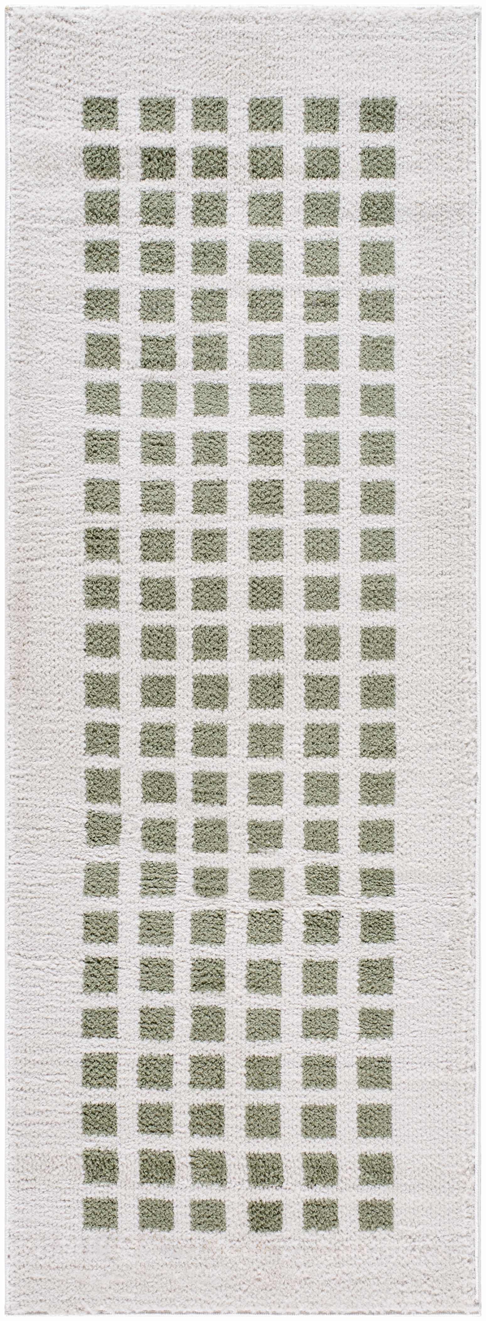 Baback Green Washable Area Rug by Boutique Rugs