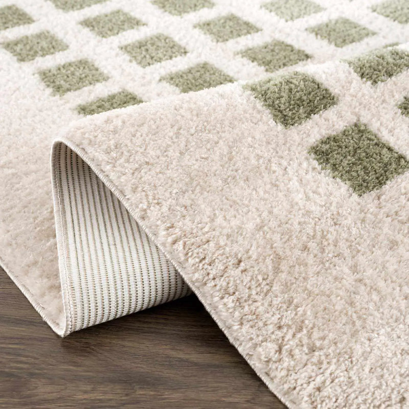 Baback Green Washable Area Rug by Boutique Rugs