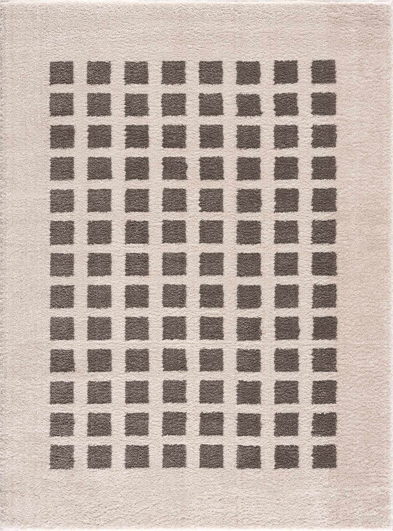 Baback Charcoal Washable Area Rug by Boutique Rugs