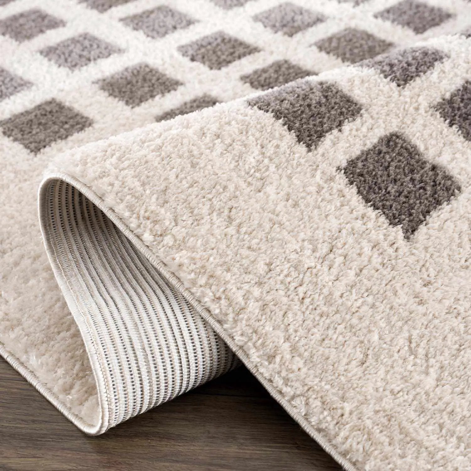 Baback Charcoal Washable Area Rug by Boutique Rugs