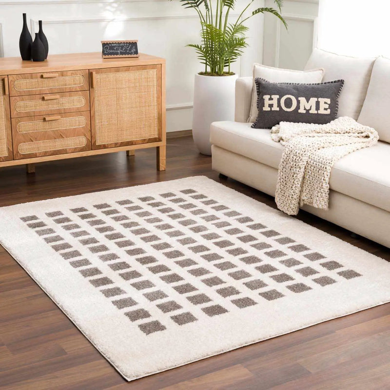 Baback Charcoal Washable Area Rug by Boutique Rugs