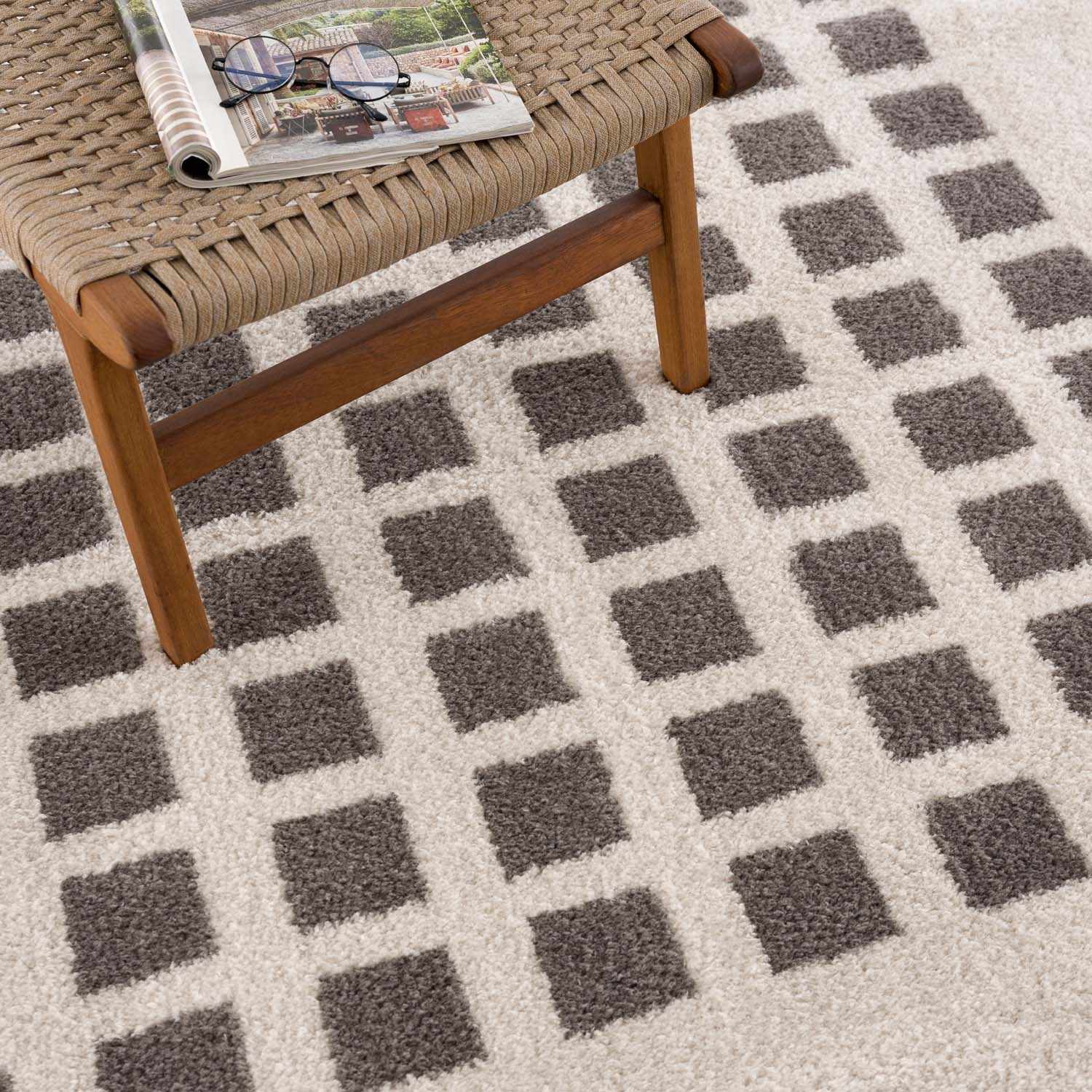 Baback Charcoal Washable Area Rug by Boutique Rugs