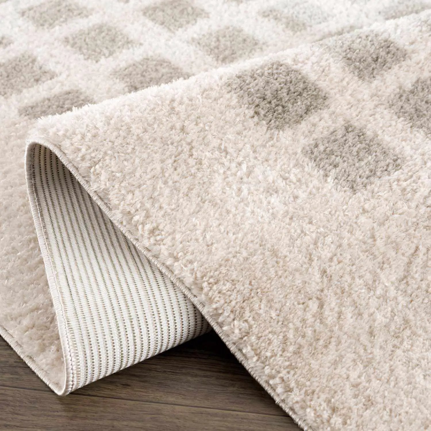 Baback Gray Washable Area Rug by Boutique Rugs
