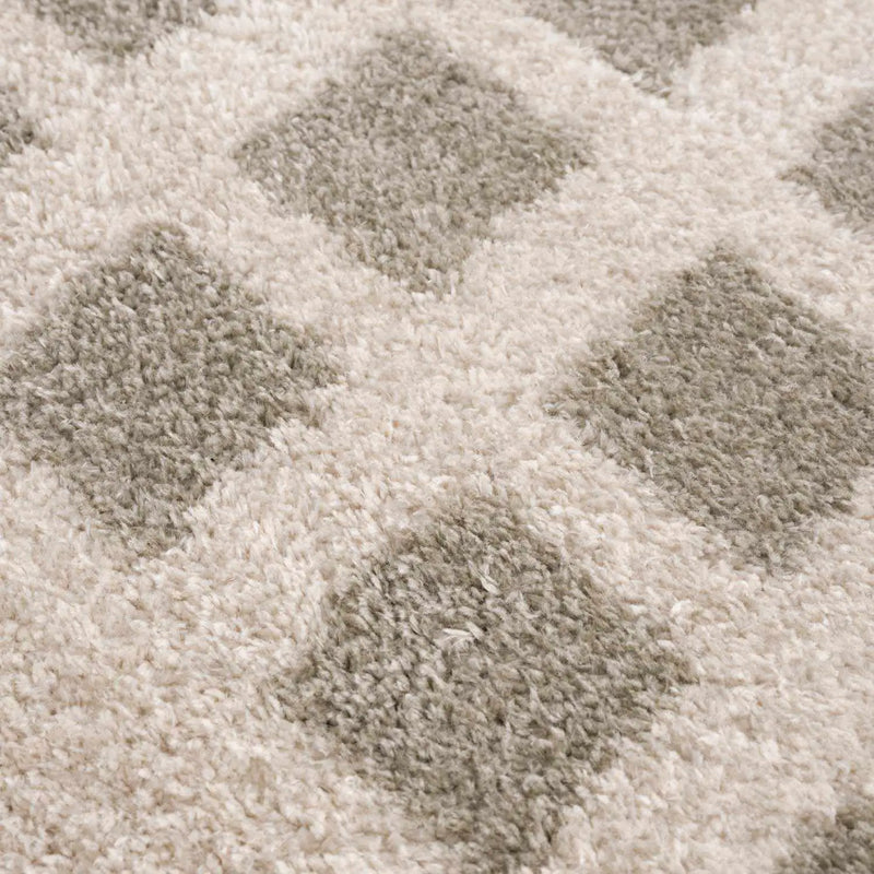 Baback Gray Washable Area Rug by Boutique Rugs