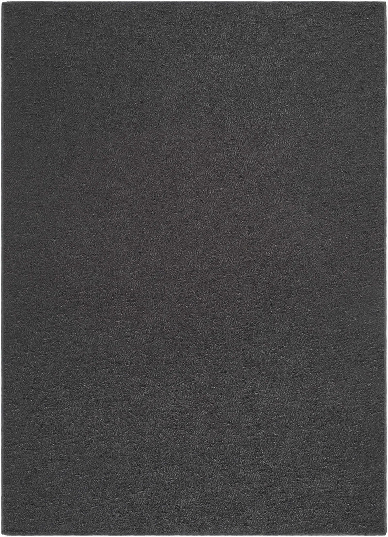 Breena Charcoal Washable Area Rug by Boutique Rugs