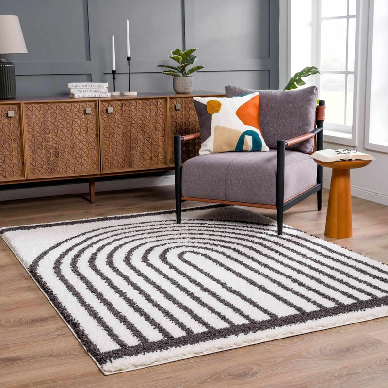 Bauer Plush Black Rainbow Rug - Clearance by Boutique Rugs