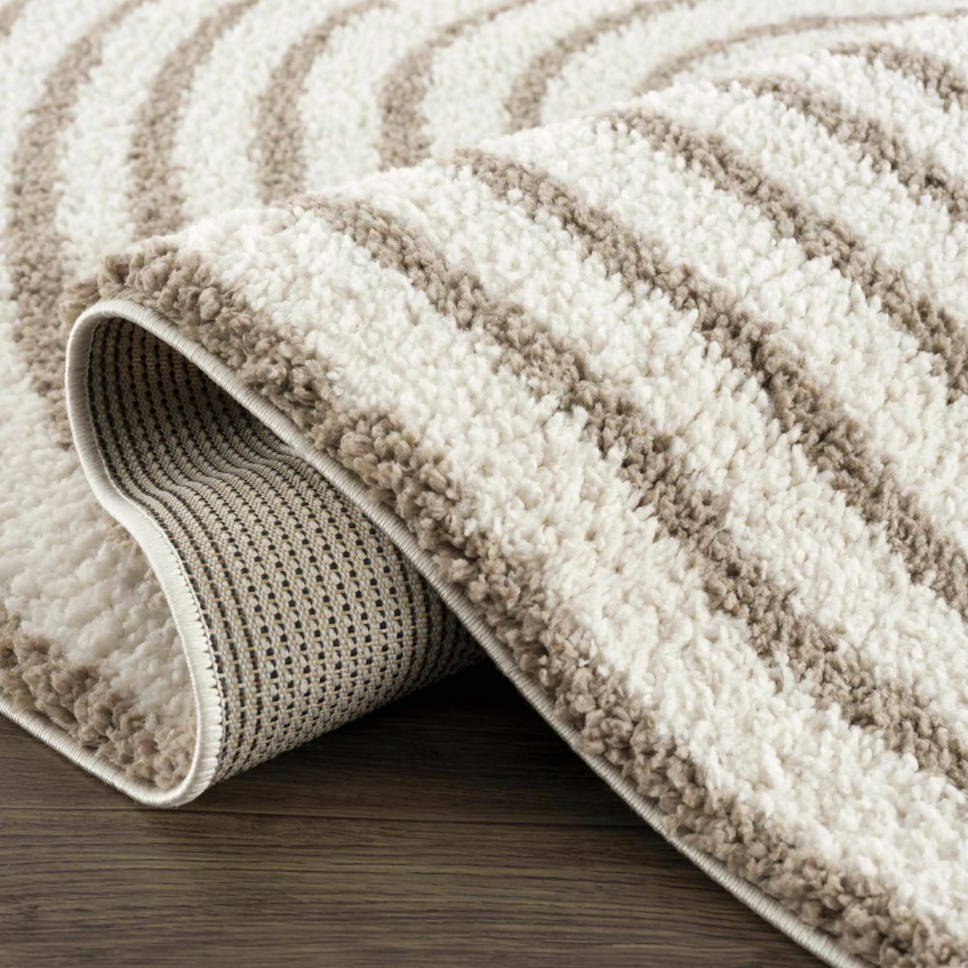 Jola Beige Area Rug by Boutique Rugs