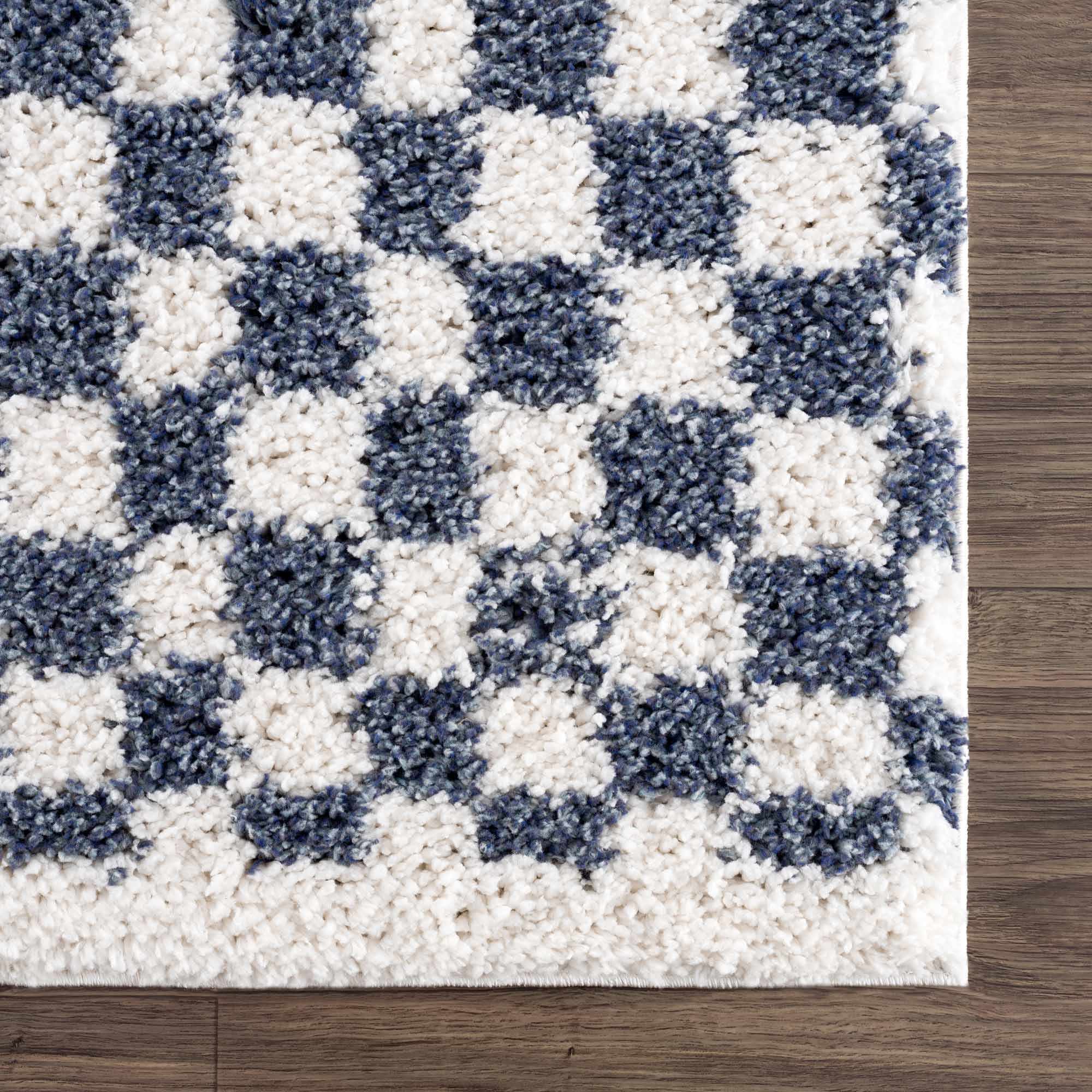 Kieu Blue & White Checkered Area Rug by Boutique Rugs