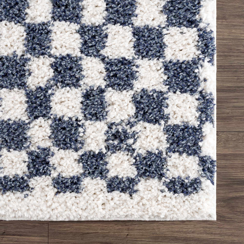 Kieu Blue & White Checkered Area Rug by Boutique Rugs