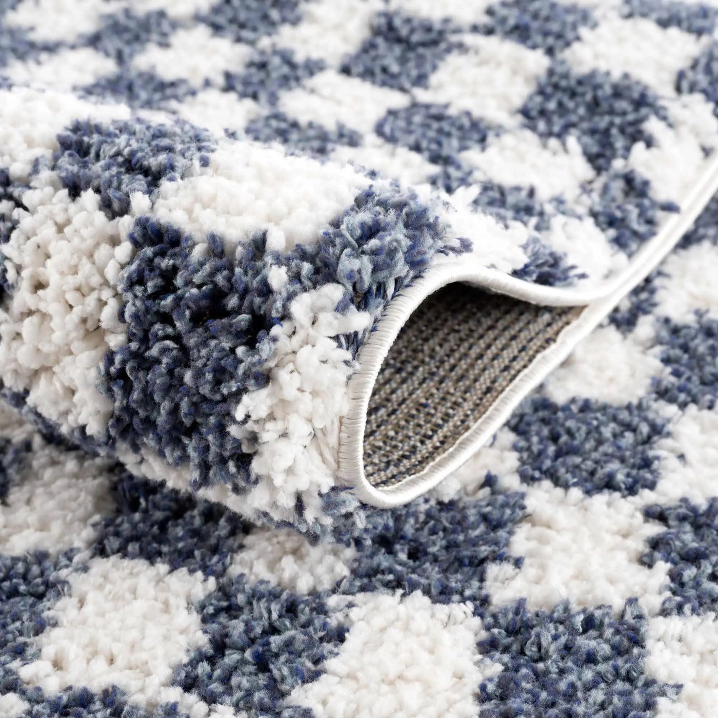Kieu Blue & White Checkered Area Rug by Boutique Rugs