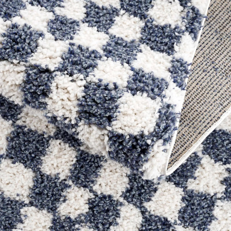 Kieu Blue & White Checkered Area Rug by Boutique Rugs