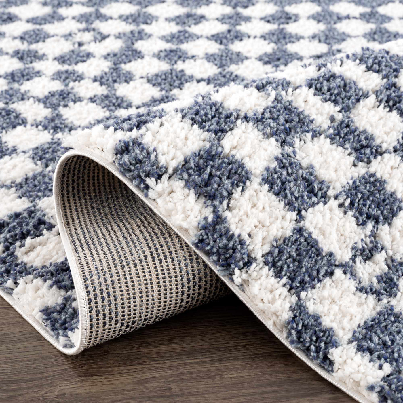 Kieu Blue & White Checkered Area Rug by Boutique Rugs