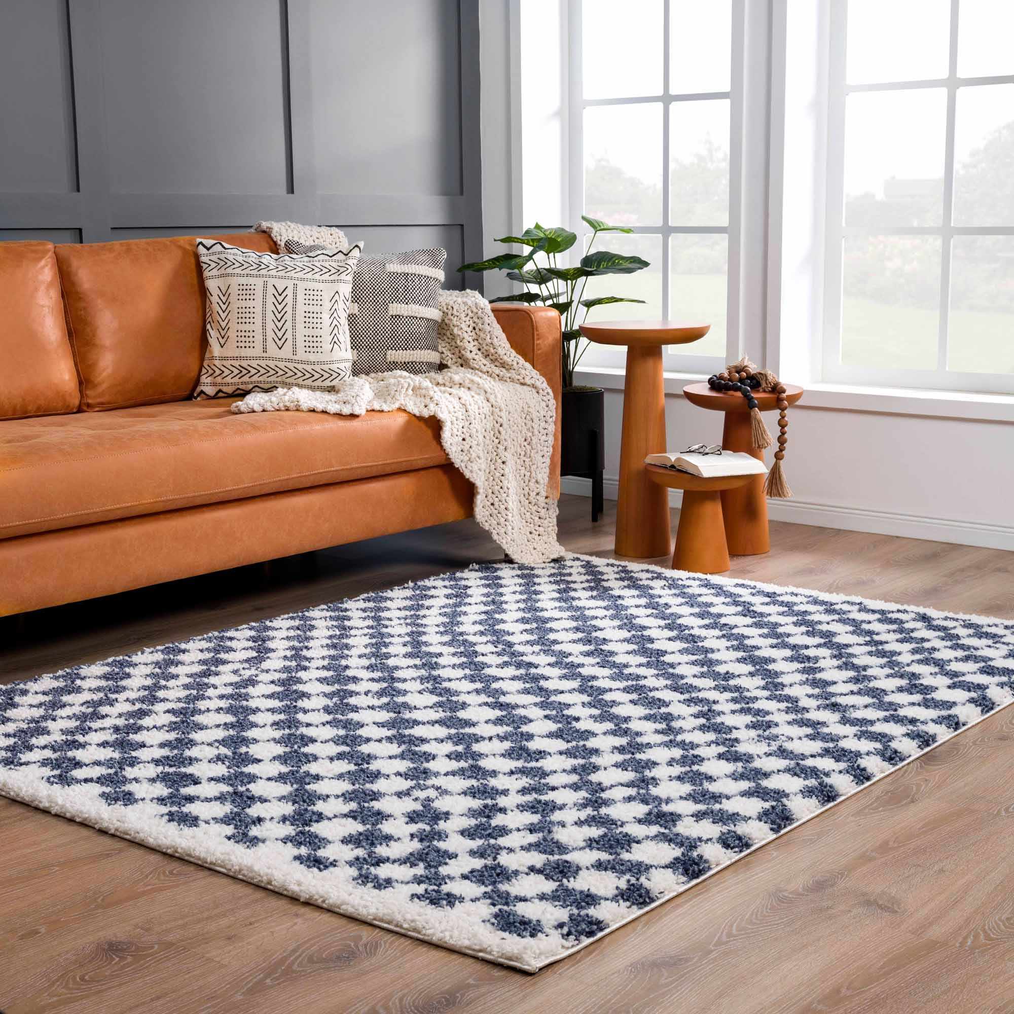 Kieu Blue & White Checkered Area Rug by Boutique Rugs