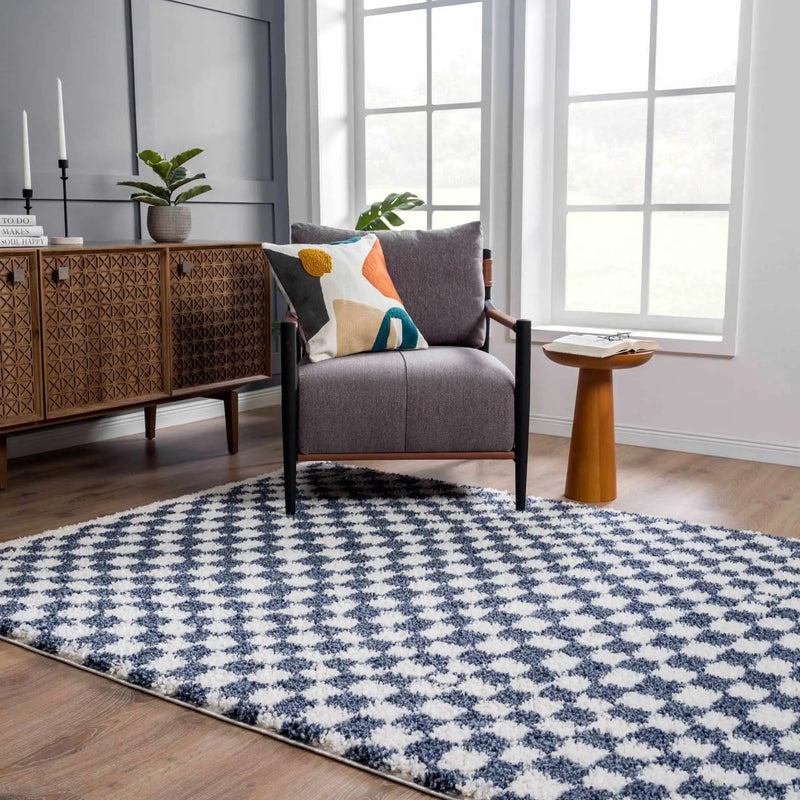 Kieu Blue & White Checkered Area Rug by Boutique Rugs