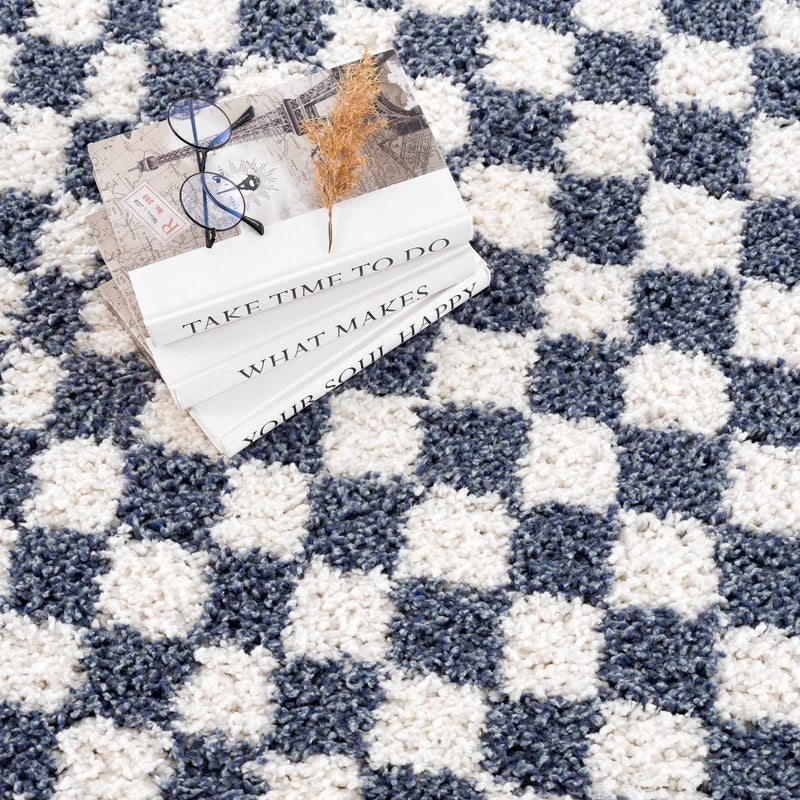 Kieu Blue & White Checkered Area Rug by Boutique Rugs