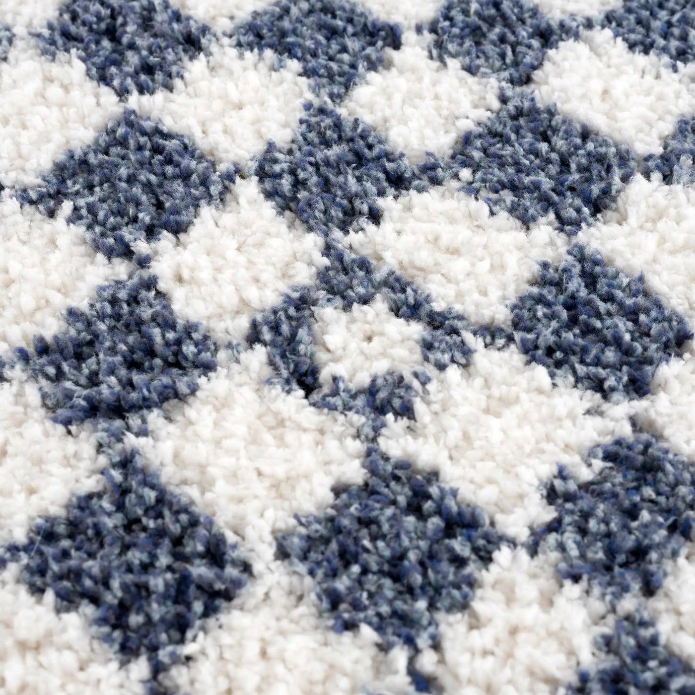 Kieu Blue & White Checkered Area Rug by Boutique Rugs