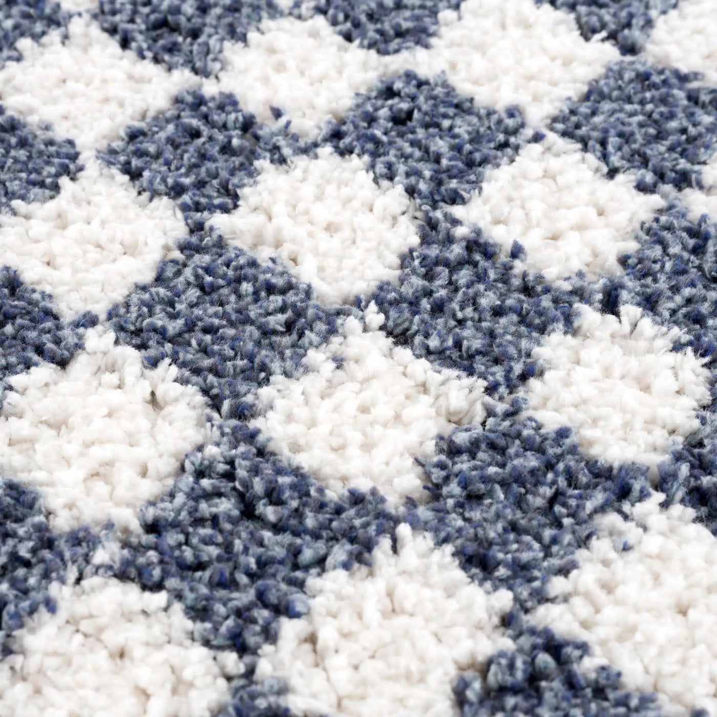 Kieu Blue & White Checkered Area Rug by Boutique Rugs