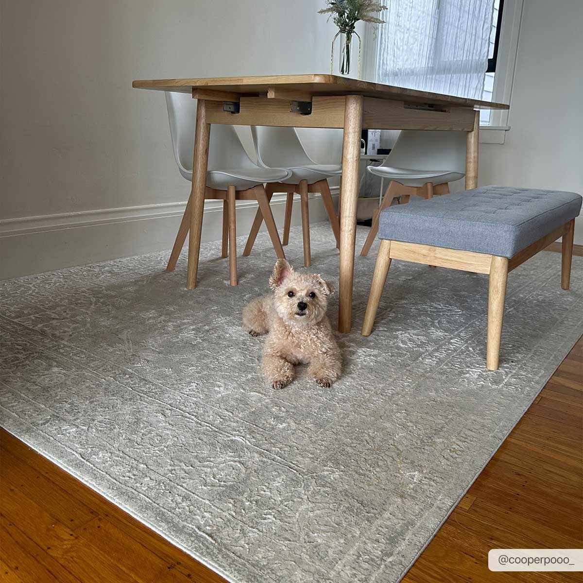 Bolsover Faux Silk Rug by Boutique Rugs