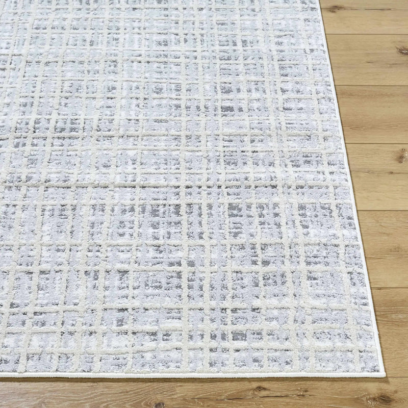 Barbra Gray Area Rug by Boutique Rugs