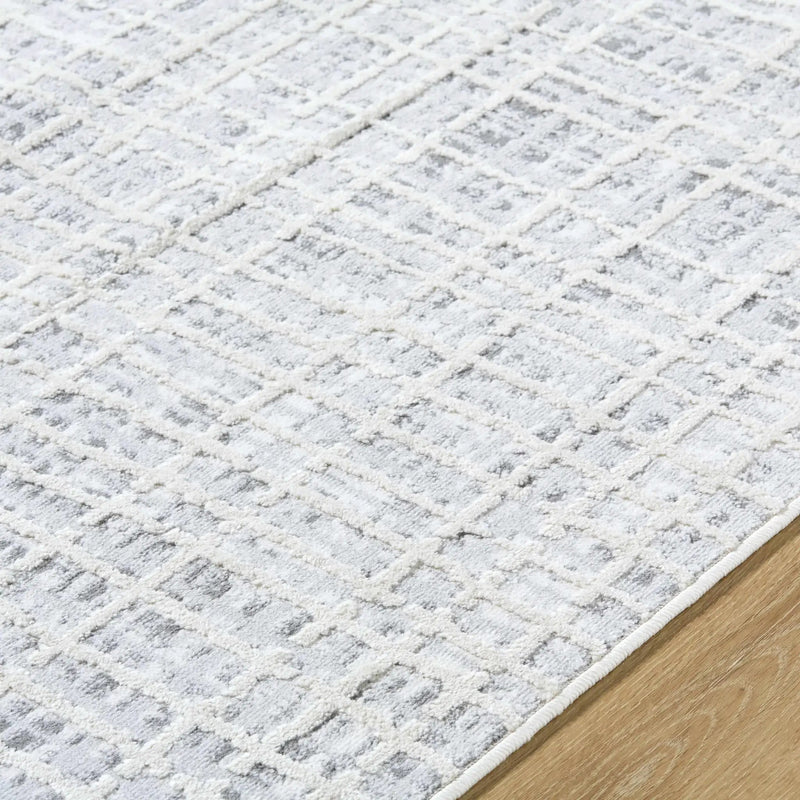 Barbra Gray Area Rug by Boutique Rugs