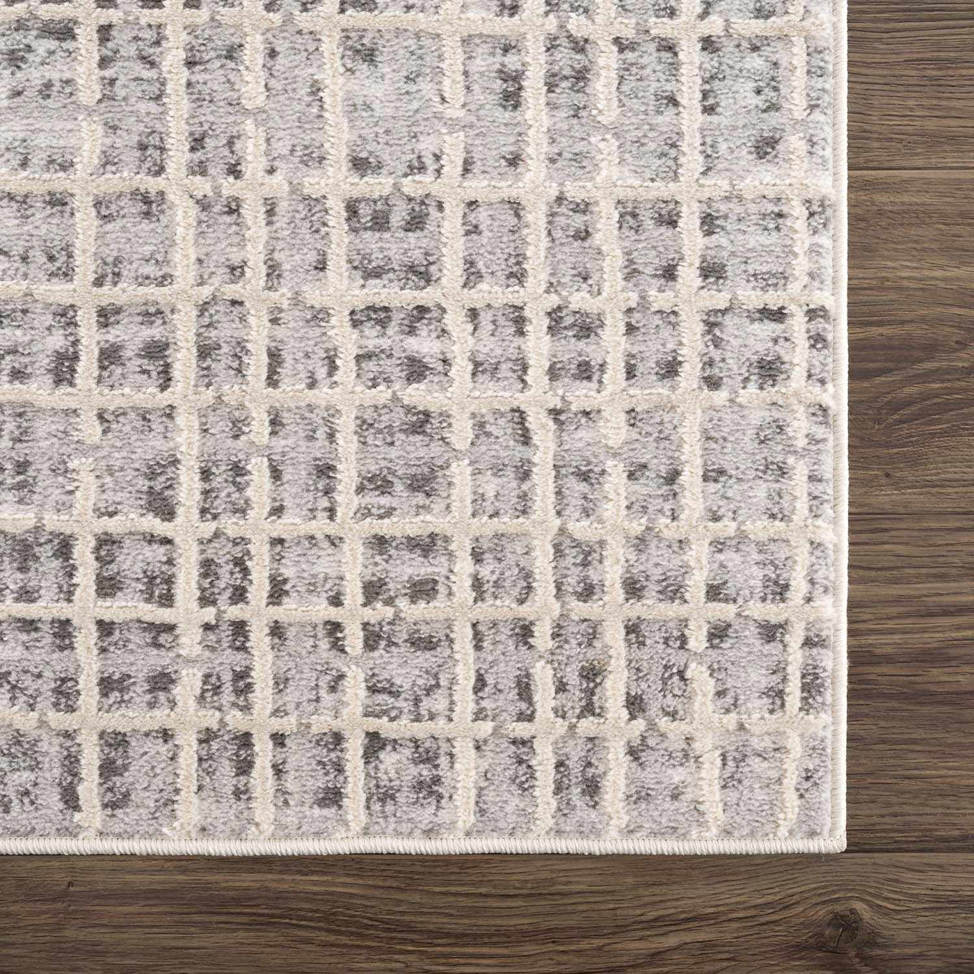 Barbra Gray Area Rug by Boutique Rugs