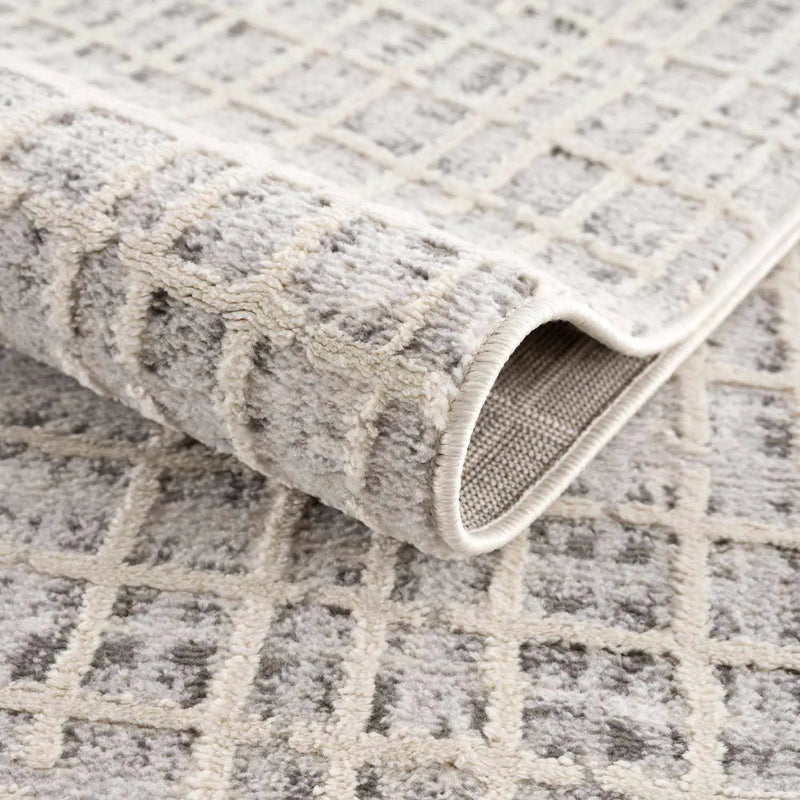 Barbra Gray Area Rug by Boutique Rugs