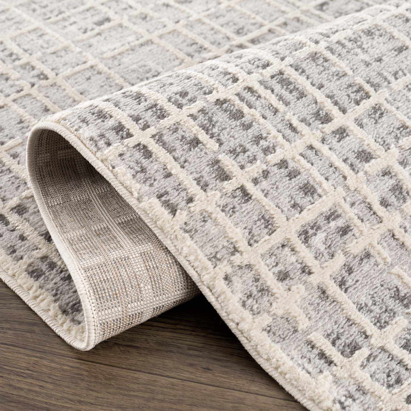 Barbra Gray Area Rug by Boutique Rugs