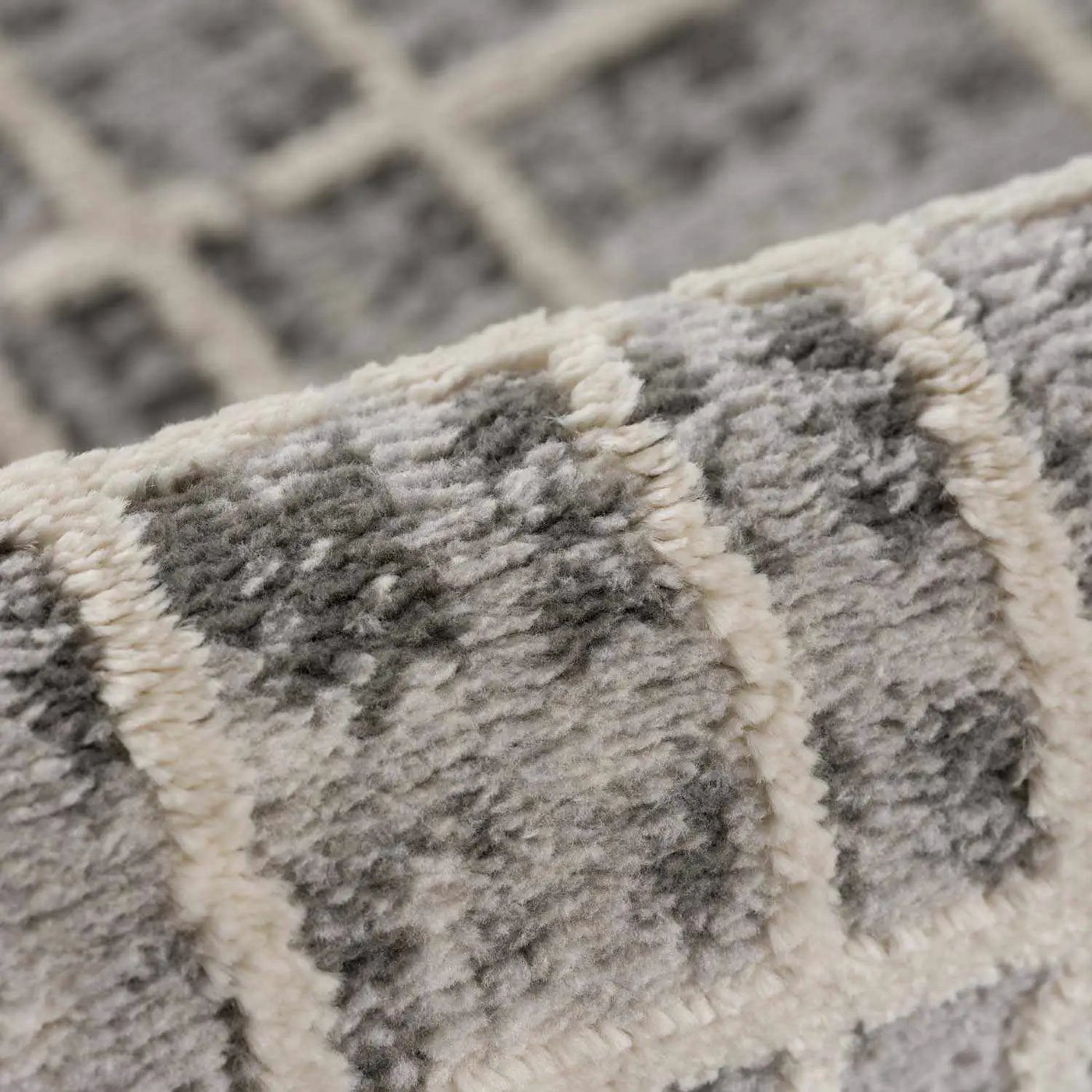 Barbra Gray Area Rug by Boutique Rugs
