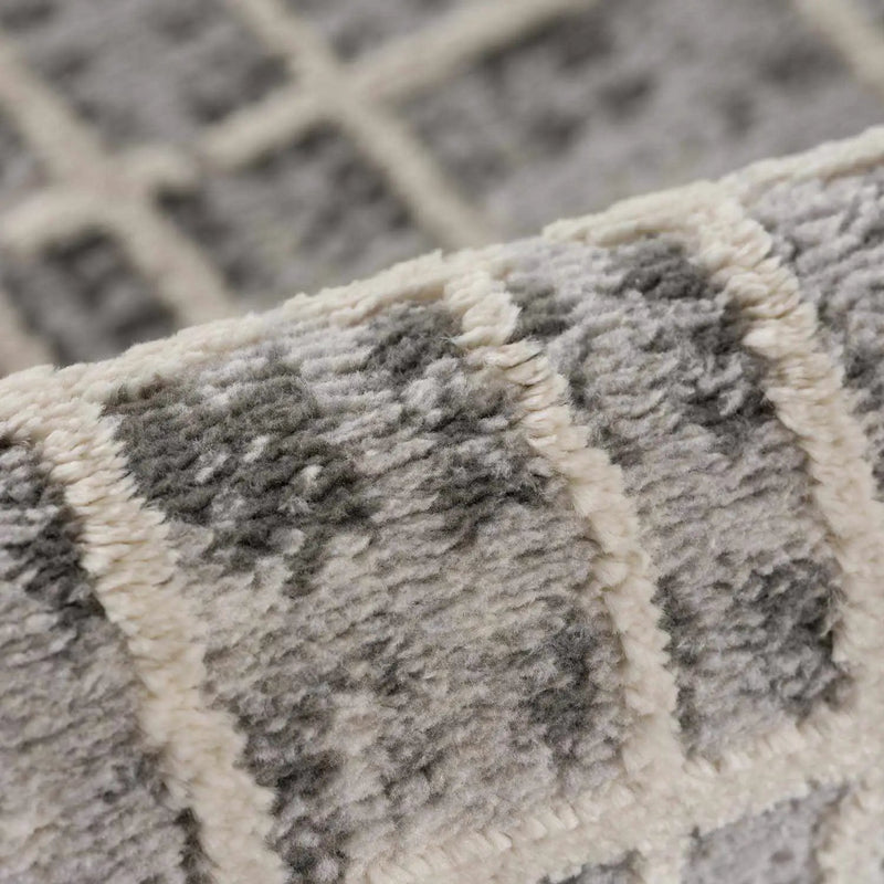 Barbra Gray Area Rug by Boutique Rugs