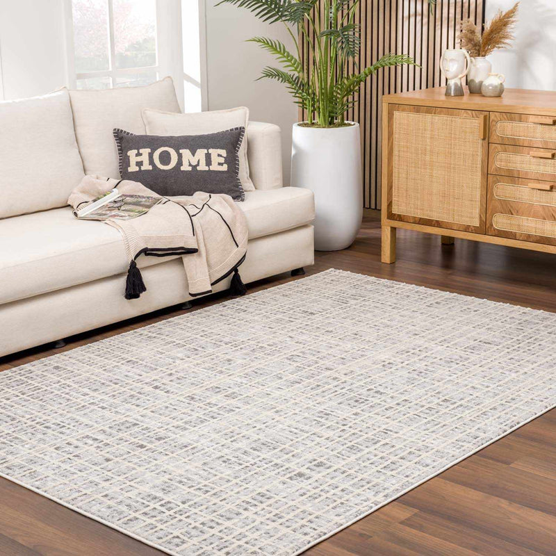Barbra Gray Area Rug by Boutique Rugs