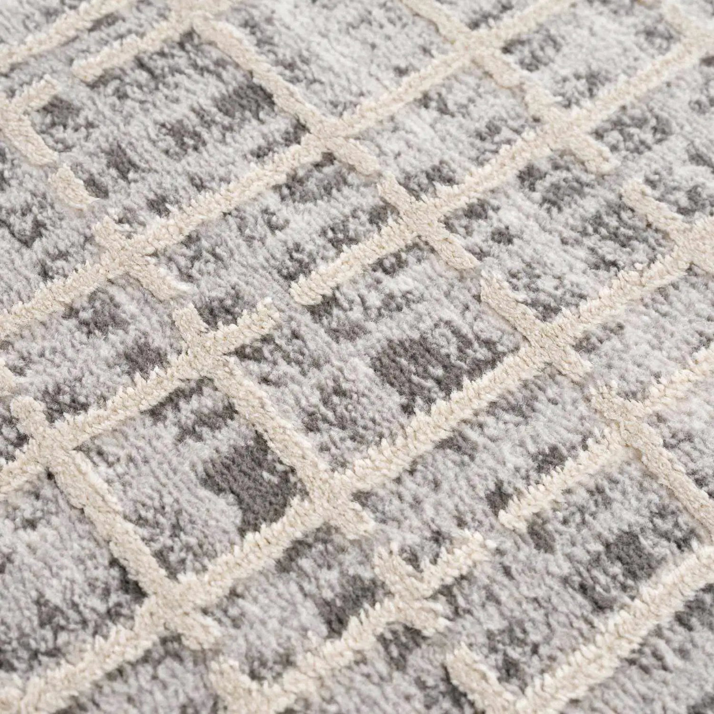 Barbra Gray Area Rug by Boutique Rugs