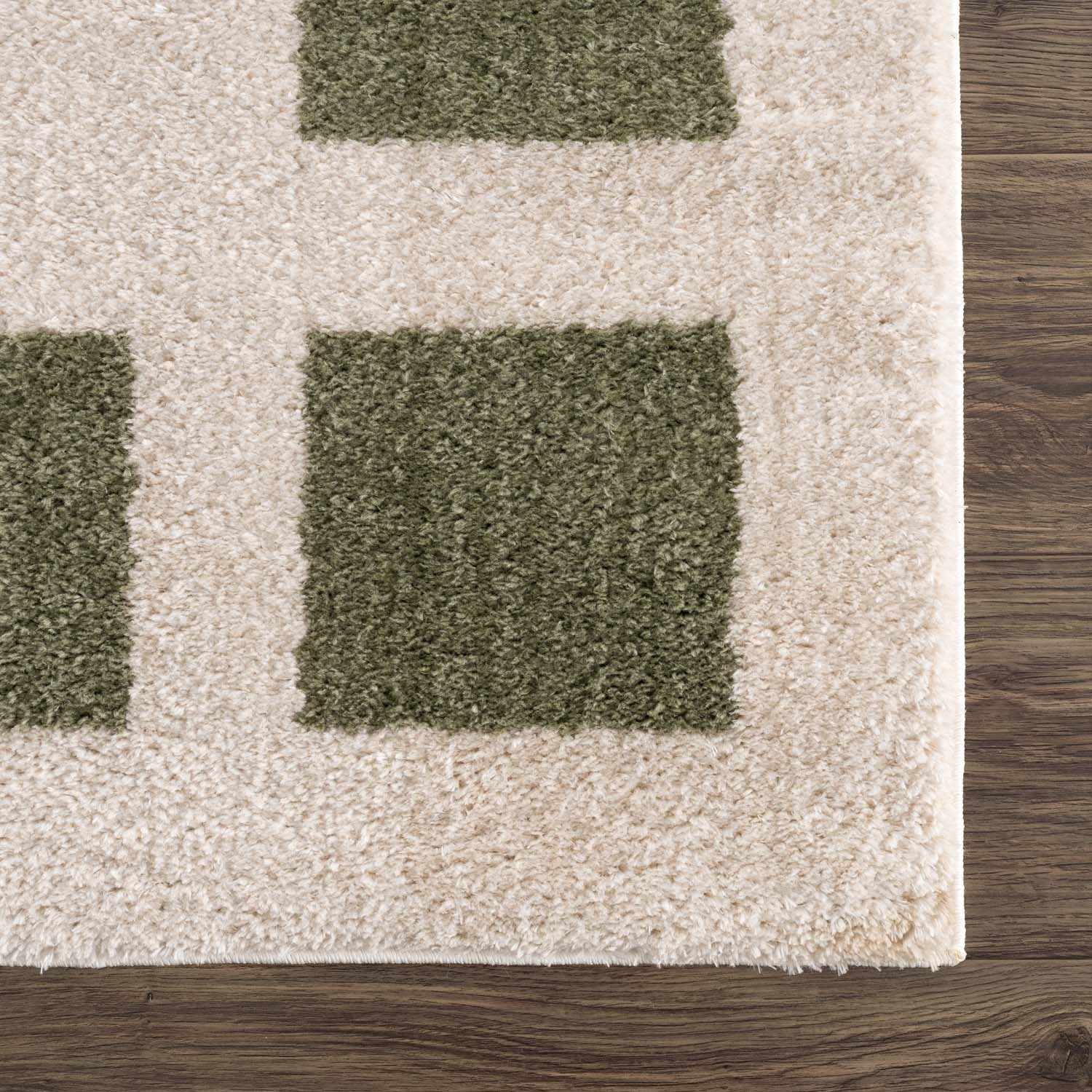 Beynon Green Washable Area Rug by Boutique Rugs