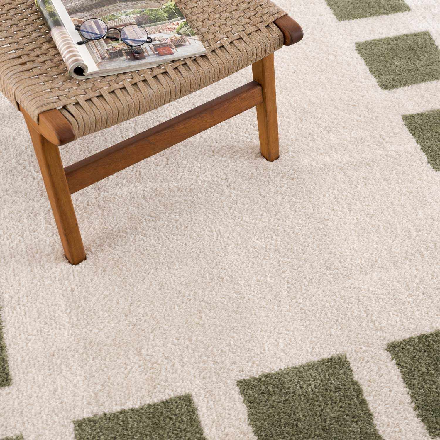 Beynon Green Washable Area Rug by Boutique Rugs