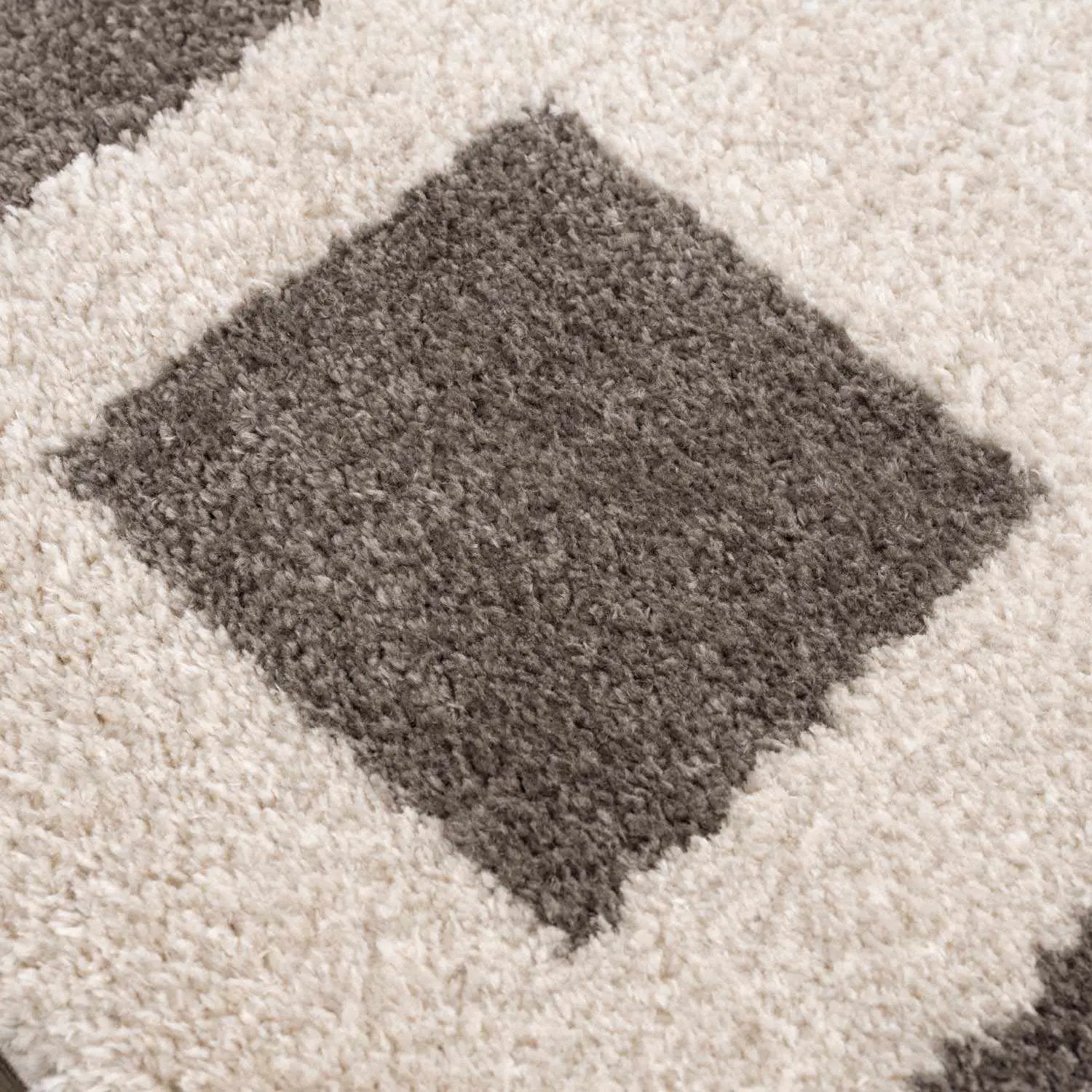 Beynon Charcoal Washable Area Rug by Boutique Rugs