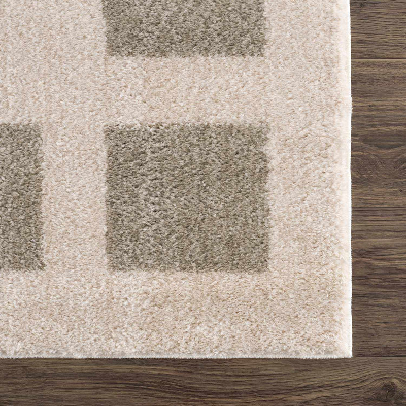 Beynon Gray Washable Area Rug by Boutique Rugs