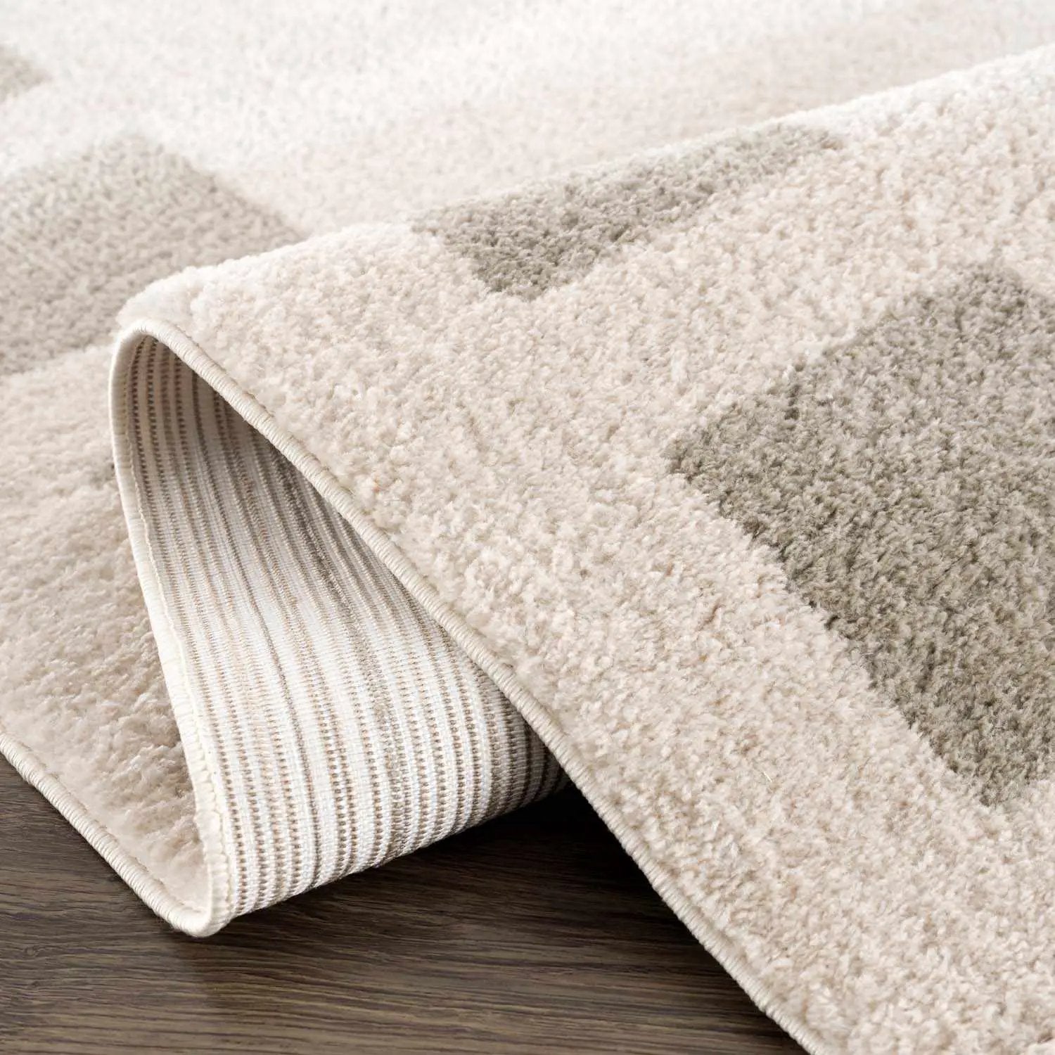 Beynon Gray Washable Area Rug by Boutique Rugs